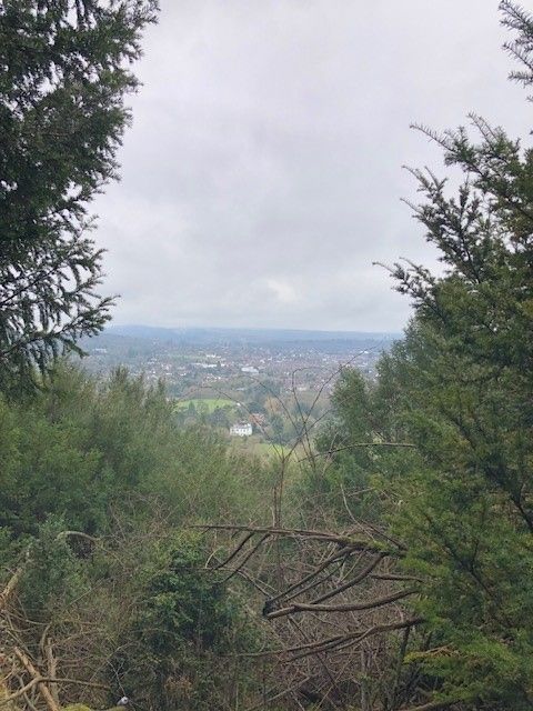 Dorking Skyline - Deepdene